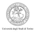 Universit degli Studi di Torino